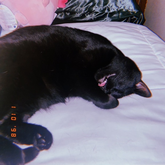 Meet Rainbow Soul - Picture 12 of 15